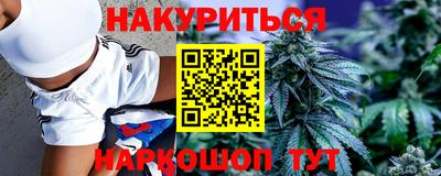 шишки Кандалакша
