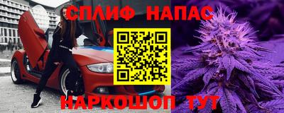 шишки Кандалакша