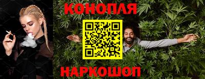 шишки Кандалакша