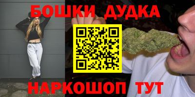 2c-b Камышлов