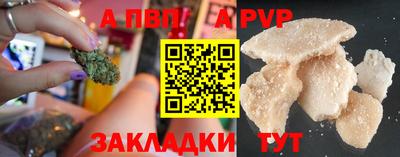 шишки Кандалакша