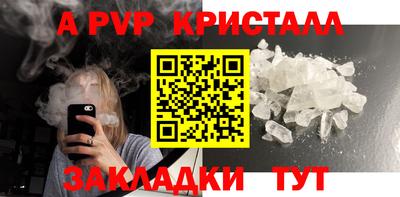 шишки Кандалакша